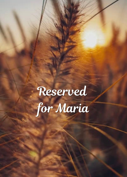 Reserved listing for Maria